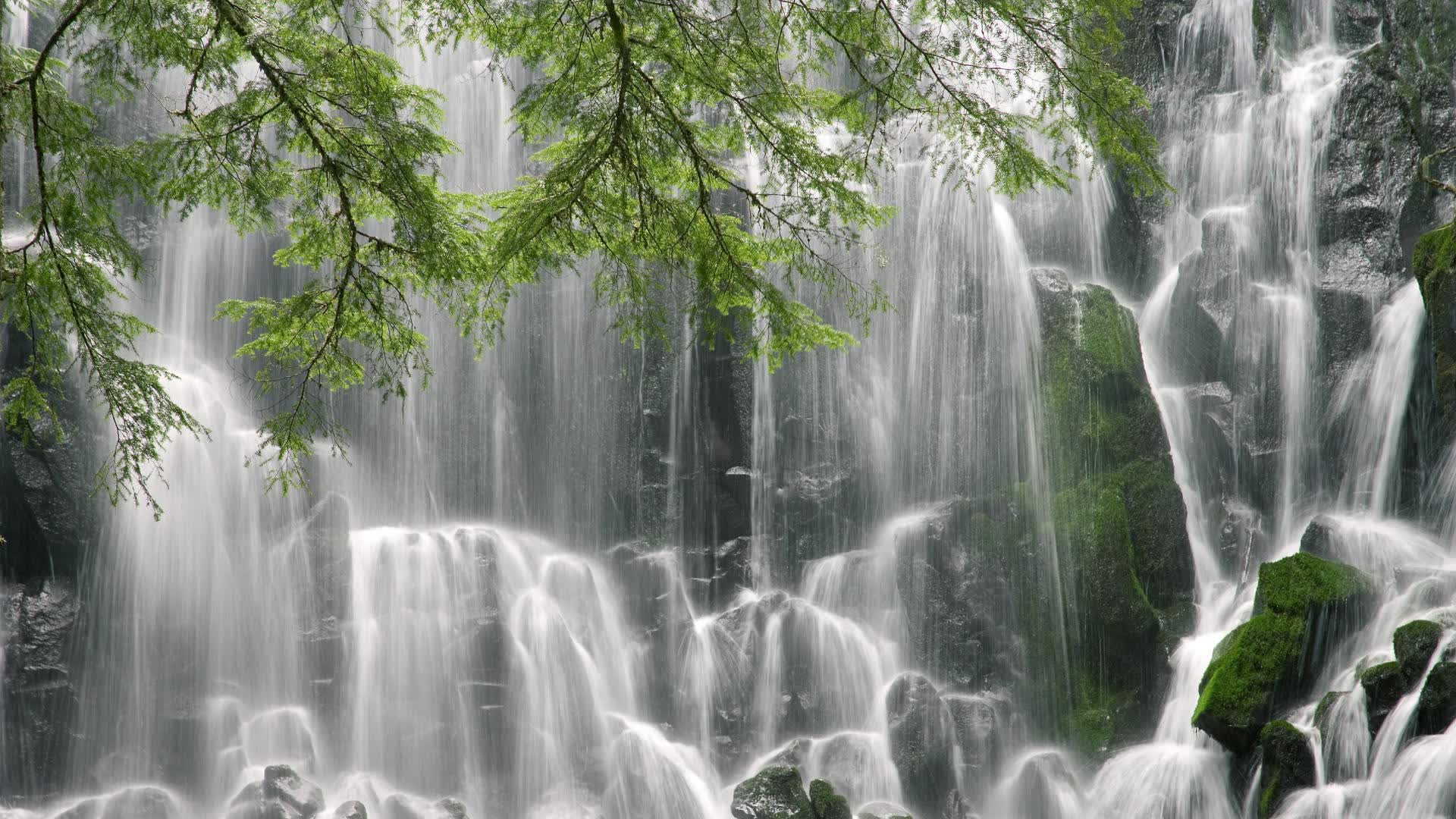 世界山地自行车赛段赛:选手越野能力显著,山地自行车比赛视频2018